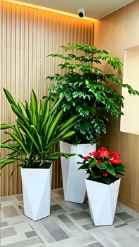 杭州湾花木租赁效果评价-江北绿色植物租用费用-海曙绿植租赁保证金-北仑植物摆放技巧